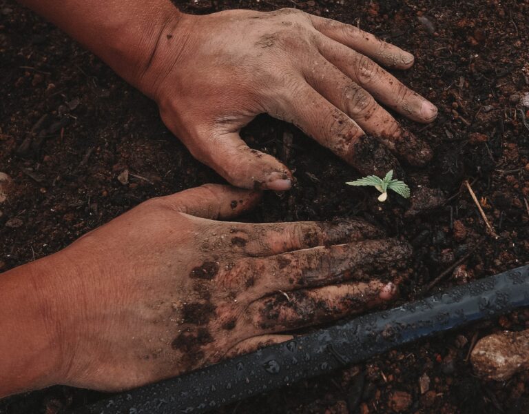 Sự Thờ Phượng & Làm Việc